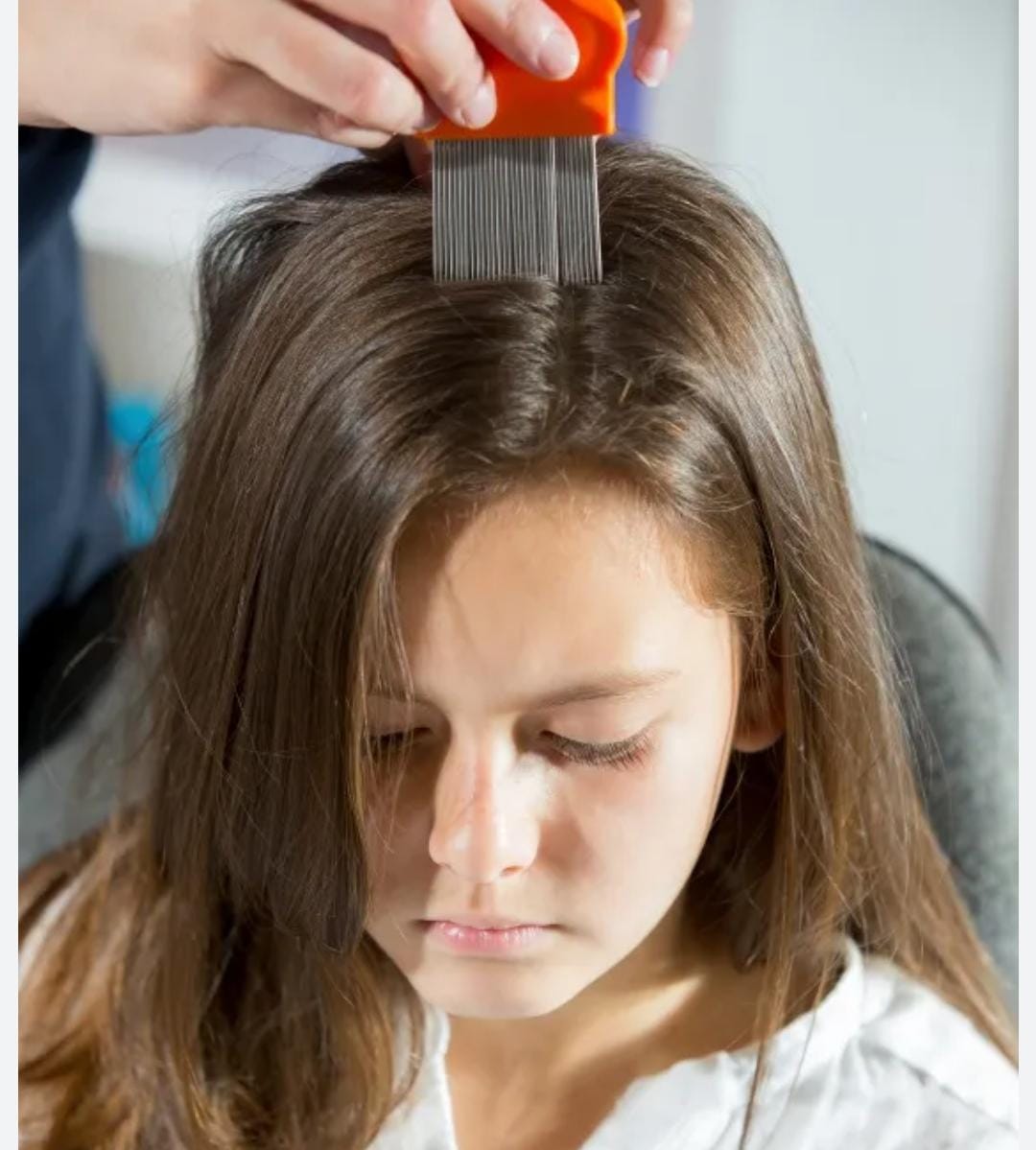 Miniatura 2 de SUERO CAPILAR ANTI-PIOJOS